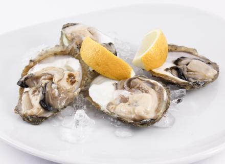 Oysters from Ston
